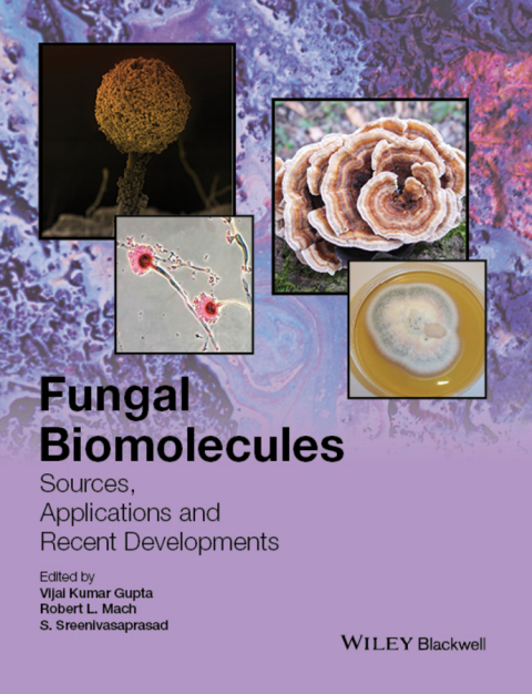 Fungal Biomolecules: Sources, Applications and Recent Developments 