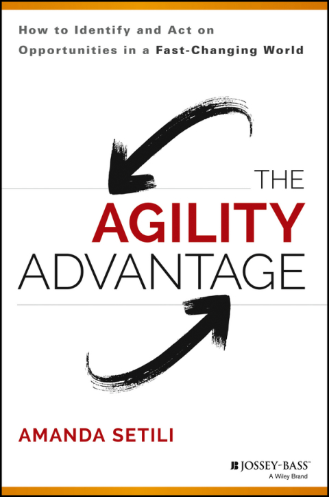 Cover image for book The Agility Advantage