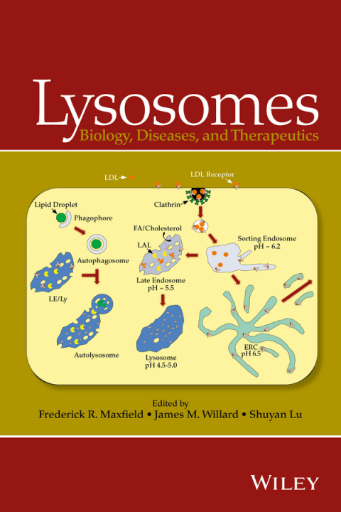 Cover image for book Lysosomes