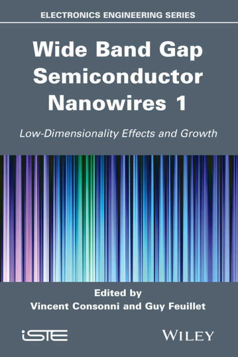 Cover image for book Wide Band Gap Semiconductor Nanowires 1