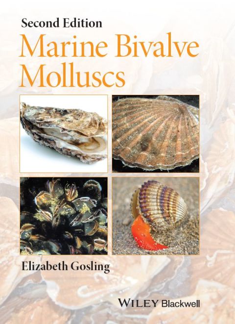 Cover image for book Marine Bivalve Molluscs