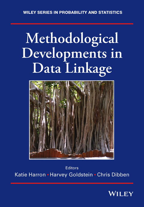 Cover image for book Methodological Developments in Data Linkage