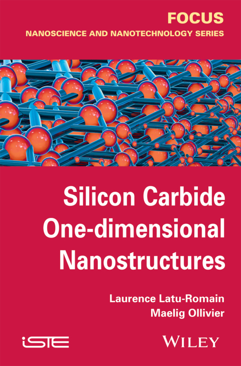 Cover image for book Silicon Carbide One-dimensional Nanostructures
