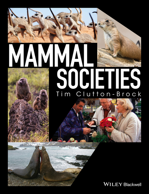 Cover image for book Mammal Societies