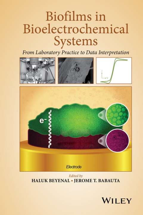 Cover image for book Biofilms in Bioelectrochemical Systems: From Laboratory Practice to Data Interpretation