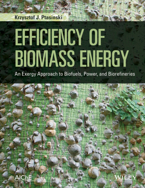 Cover image for book Efficiency of Biomass Energy