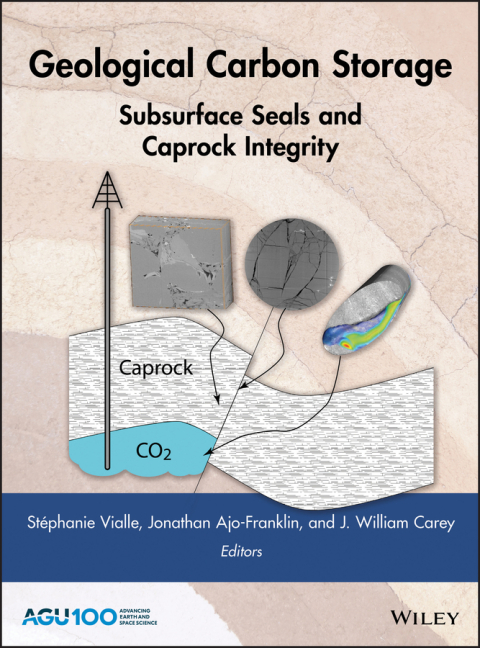 Cover image for book Geological Carbon Storage