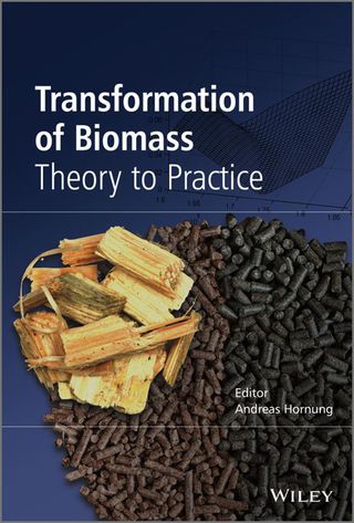 Transformation of Biomass Theory to Practice