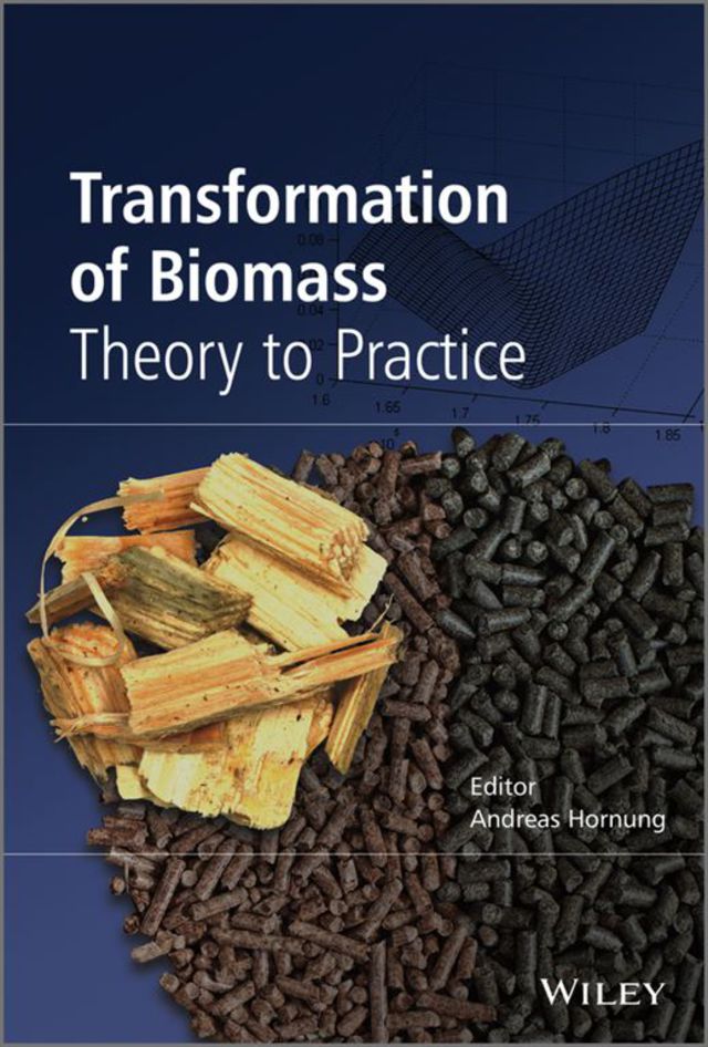 Transformation of Biomass Theory to Practice