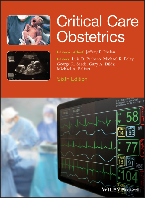 Cover image for book Critical Care Obstetrics