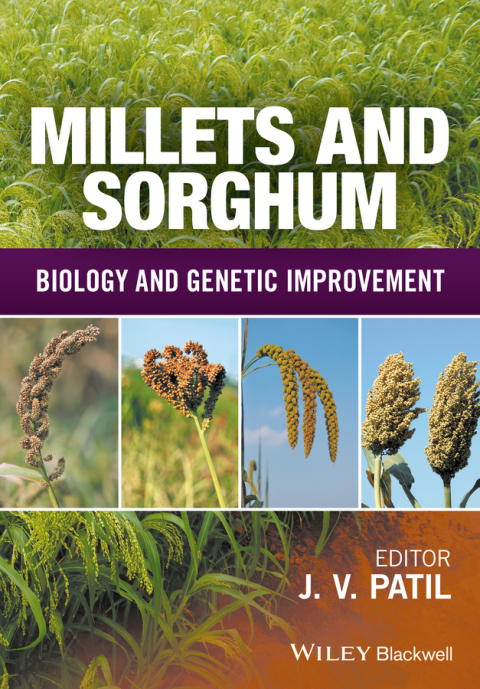 Cover image for book Millets and Sorghum