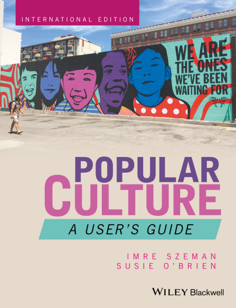 Cover image for book Popular Culture: A User's Guide, International Edition
