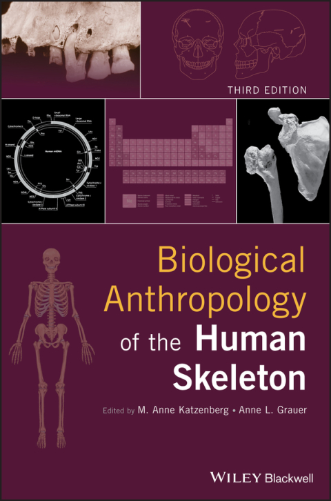 Cover image for book Biological Anthropology of the Human Skeleton