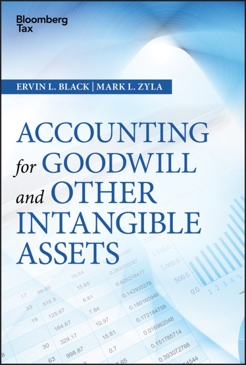 Cover image for book Accounting for Goodwill and Other Intangible Assets