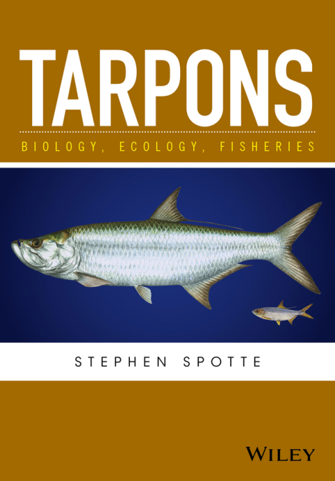 Tarpons 