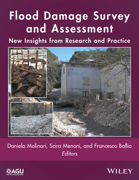Flood Damage Survey and Assessment: New Insights from Research and Practice 
