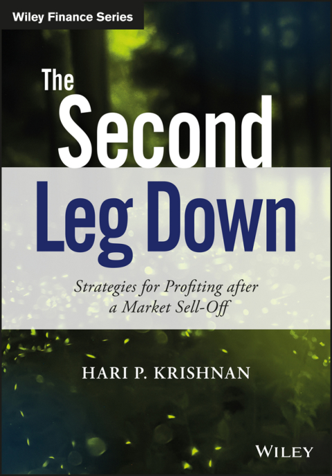 Cover image for book The Second Leg Down