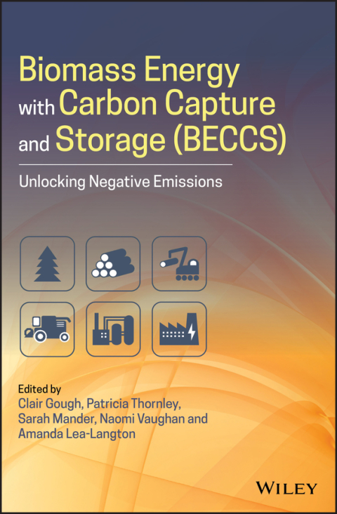 Cover image for book Biomass Energy with Carbon Capture and Storage (BECCS)