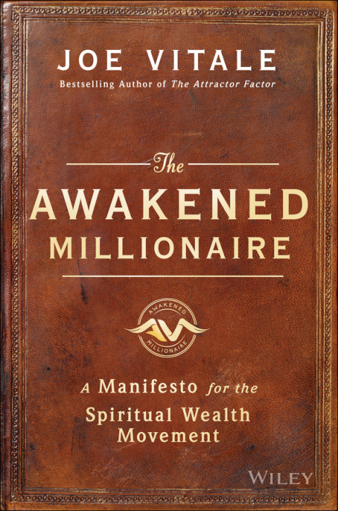 Cover image for book The Awakened Millionaire