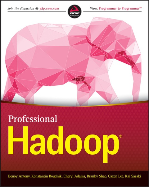 Cover image for book Professional Hadoop