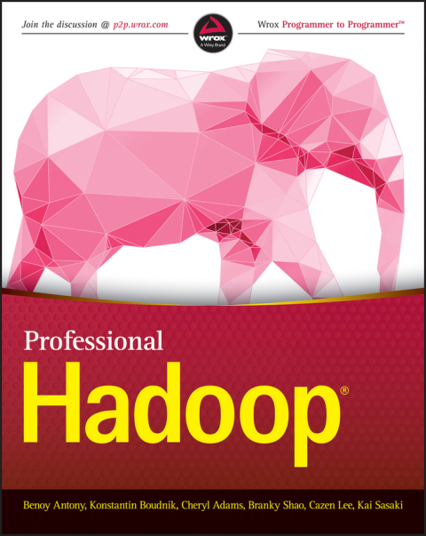 Cover image for book Professional Hadoop