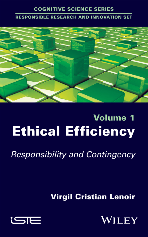 Cover image for book Ethical Efficiency
