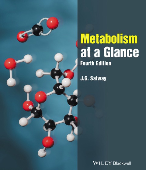 Cover image for book Metabolism at a Glance