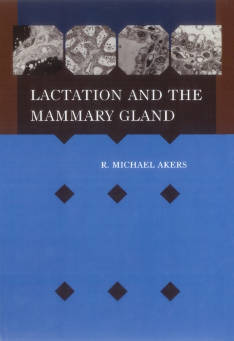 Cover image for book Lactation and the Mammary Gland