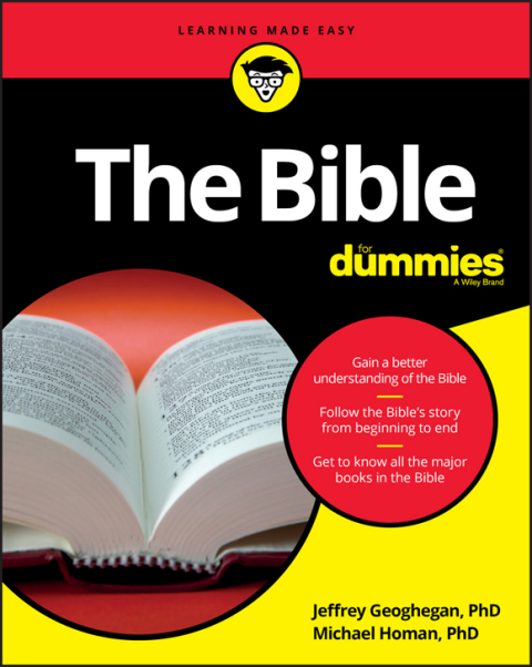Cover image for book The Bible For Dummies