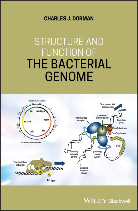 Cover image for book Structure and Function of the Bacterial Genome