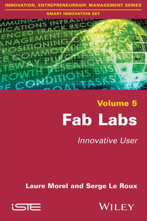 Cover image for book Fab Labs: Innovative User