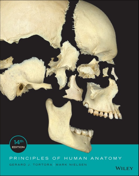 Principles of Human Anatomy 