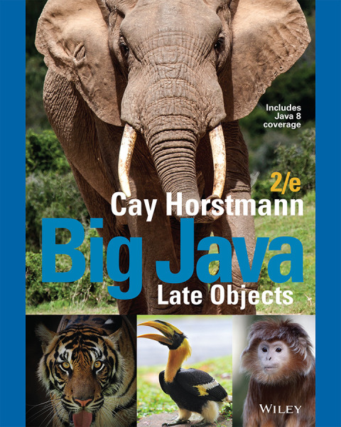 Big Java Late Objects 