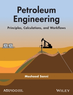 PETROLEUM ENGINEERING PRINCIPLES CALCULATIONS AND WORKFLOWS