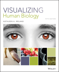 Cover image: Visualizing Human Biology 5th edition 9781118875742