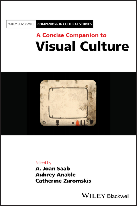 Cover image for book A Concise Companion to Visual Culture