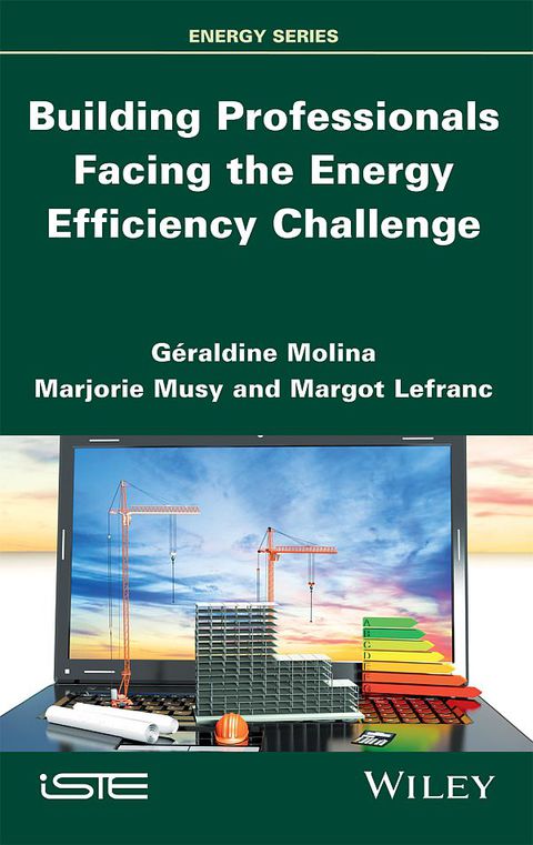 Cover image for book Building Professionals Facing the Energy Efficiency Challenge