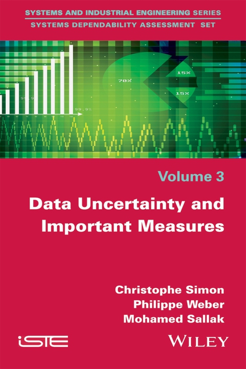 Cover image for book Data Uncertainty and Important Measures