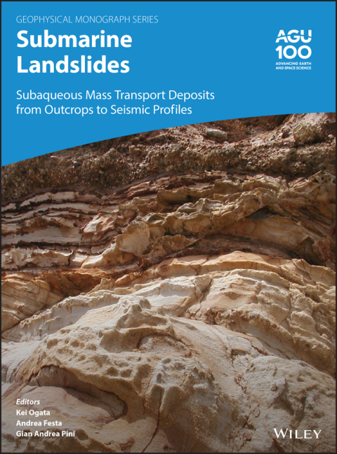 Cover image for book Submarine Landslides