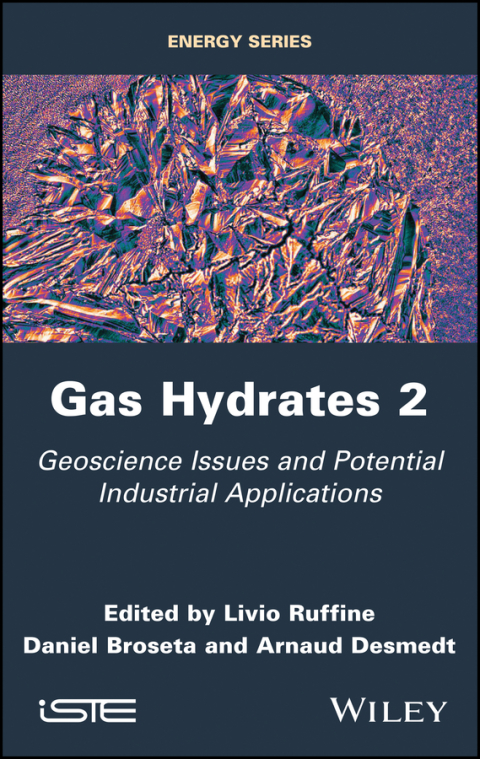 Cover image for book Gas Hydrates 2: Geoscience Issues and Potential Industrial Applications