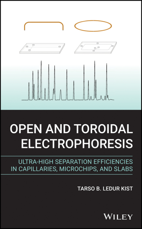 Cover image for book Open and Toroidal Electrophoresis