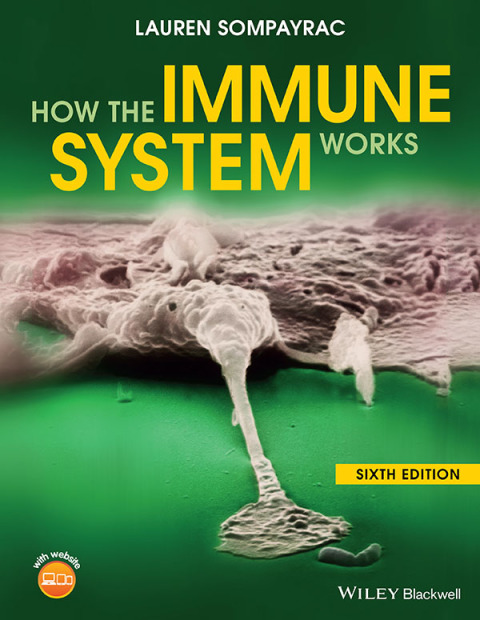 Cover image for book How the Immune System Works