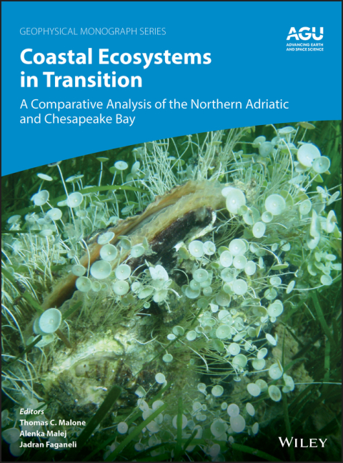 Cover image for book Coastal Ecosystems in Transition