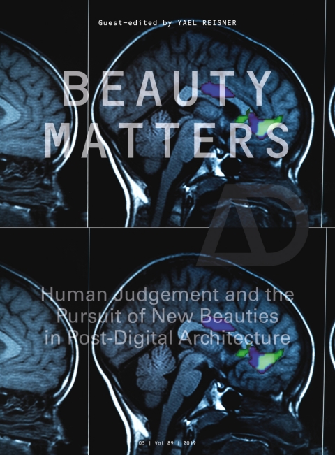 Cover image for book Beauty Matters