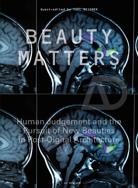 Cover image for book Beauty Matters