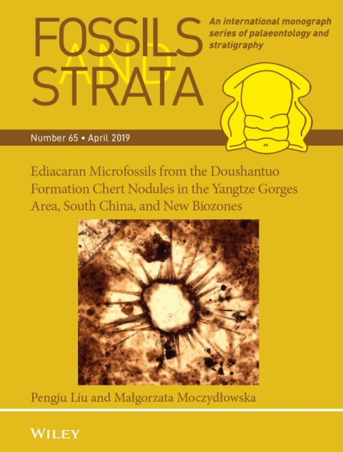Cover image for book Ediacaran Microfossils from the Doushantuo Formation Chert Nodules in the Yangtze Gorges Area, South China, and New Biozones
