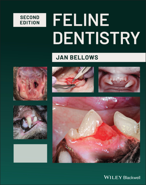 Cover image for book Feline Dentistry