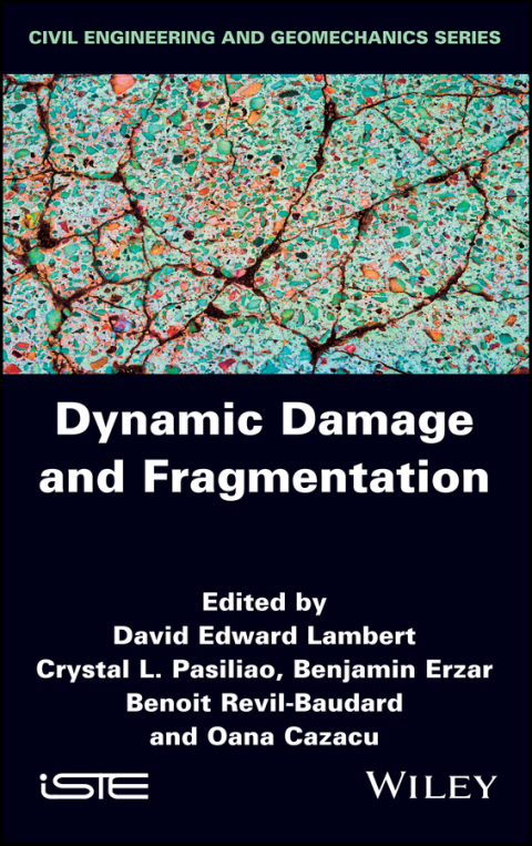 Dynamic Damage and Fragmentation 