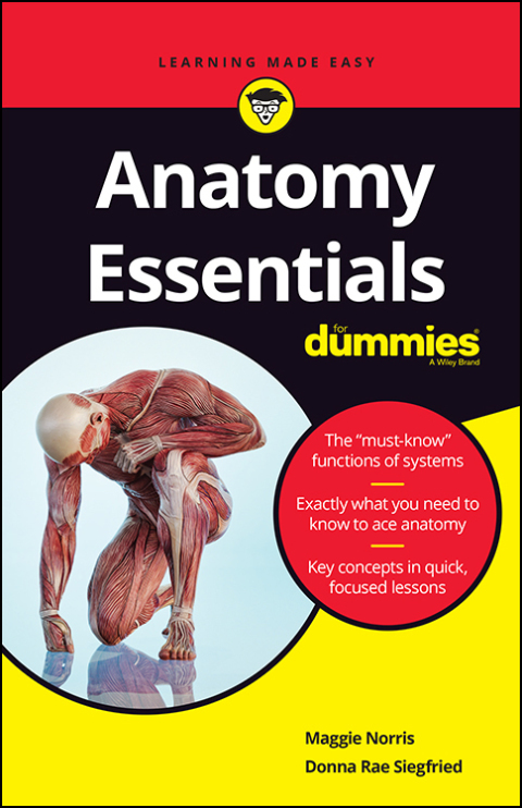 Cover image for book Anatomy Essentials For Dummies