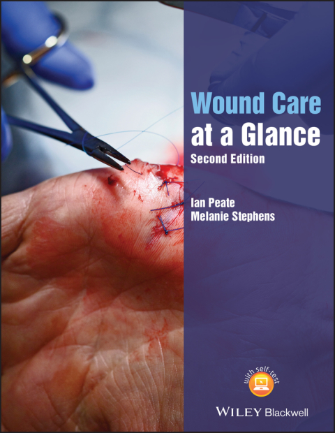Cover image for book Wound Care at a Glance